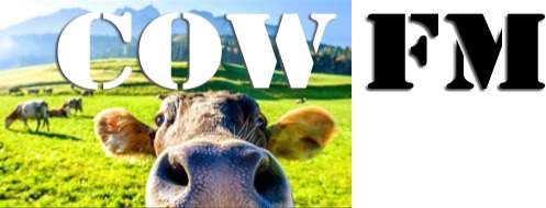 COW FM - Casino - 107.9 FM (AAC)