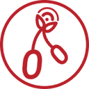 La radio sous la cerise 