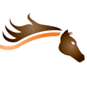 Wild Horse FM