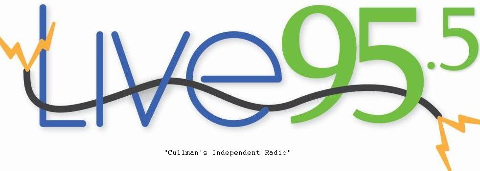 WRJM Live 95.5 Alternate Channel 2 Cullman Alabama