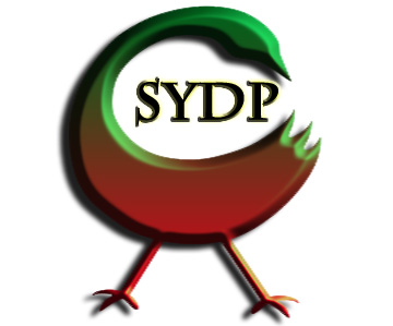 WSYP-LP 95.1 FM Birmingham AL Sankofa Revolutionary Radio